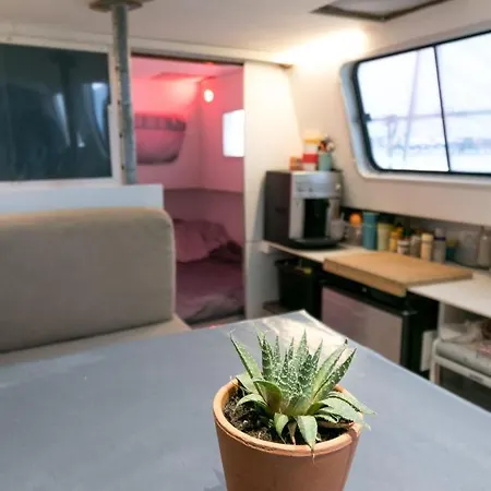 Bateau Penichette Atypique *